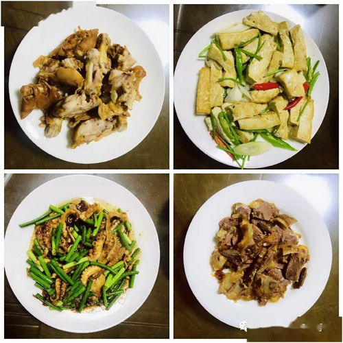 5月14日山東中亞旅行社日程播報